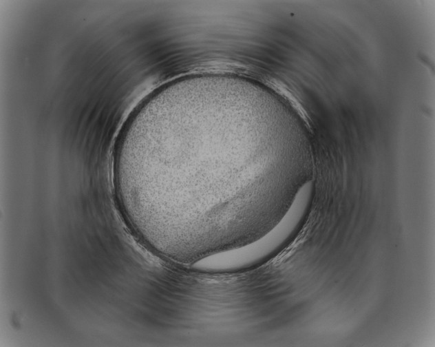 X0000097751083200804041057