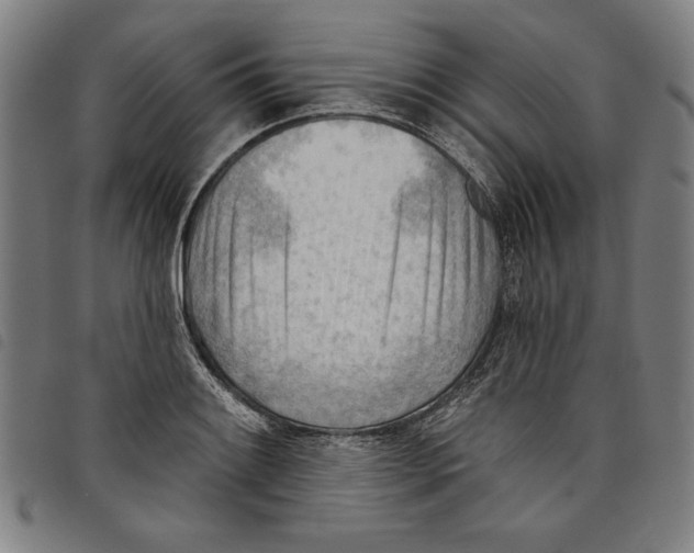 X0000097751084200804041057