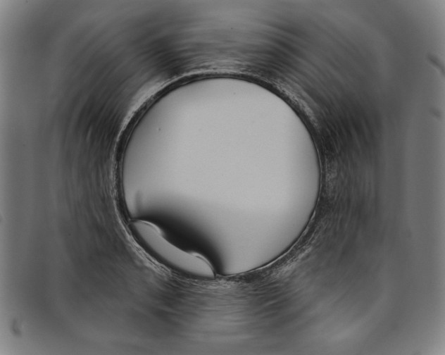 X0000097751085200804041057