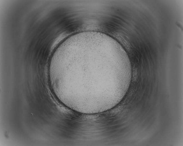 X0000097751086200804041057