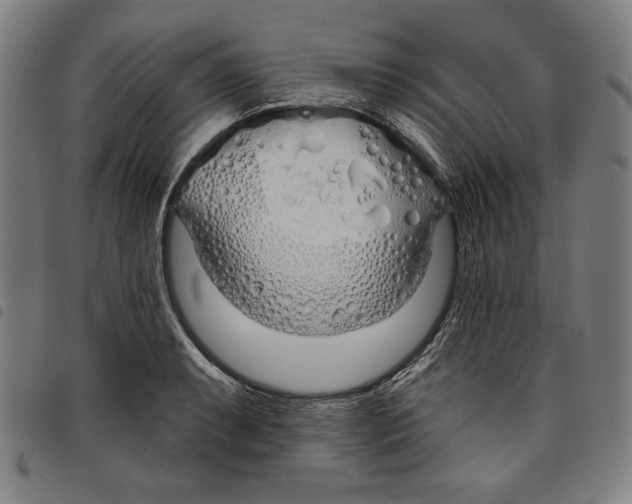 X0000097751087200804041057