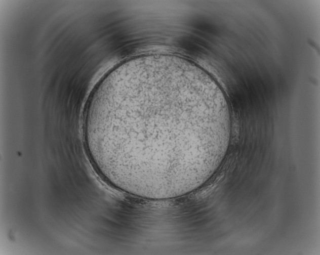 X0000097751090200804041057