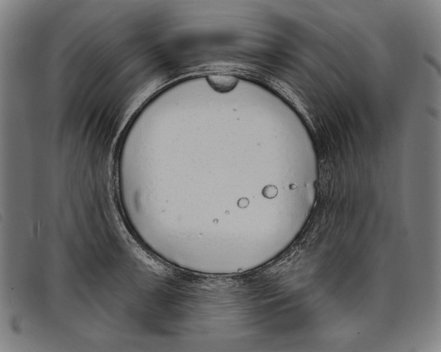 X0000097751091200804041057