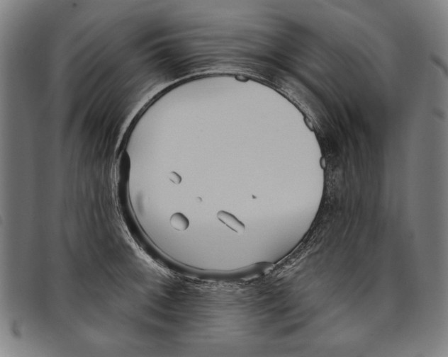 X0000097751092200804041057