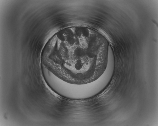 X0000097751095200804041057