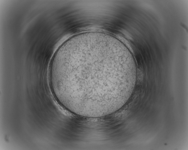 X0000097751098200804041057