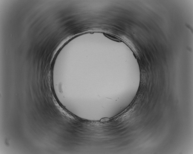 X0000097751100200804041057