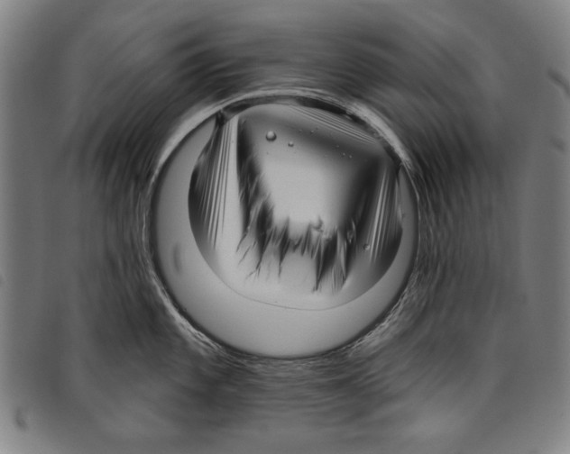 X0000097751101200804041057