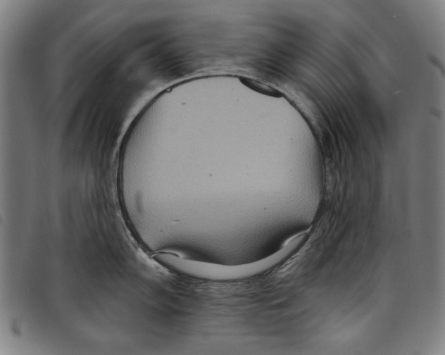 X0000097751102200804041057