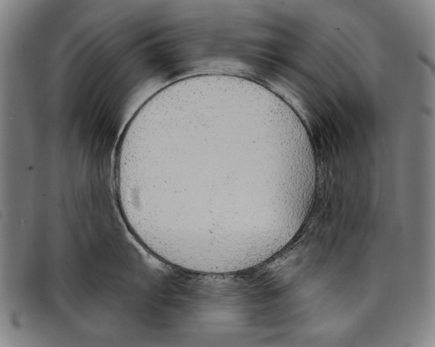 X0000097751103200804041057