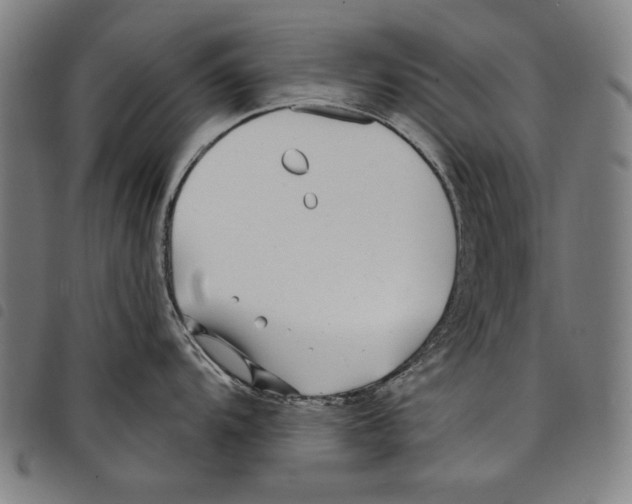 X0000097751104200804041057