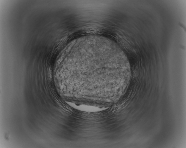 X0000097751106200804041056