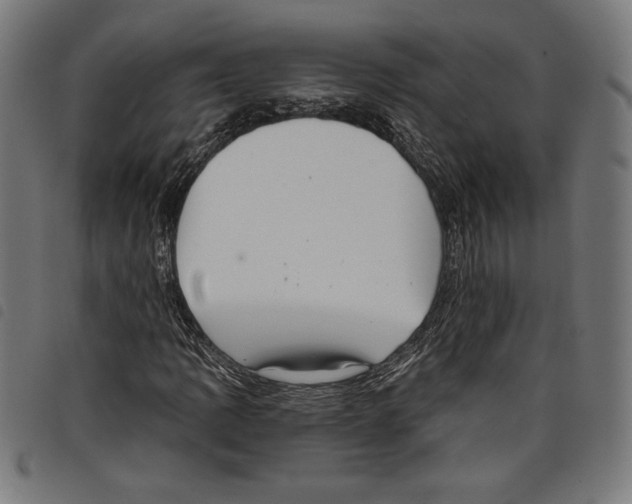 X0000097751109200804041056