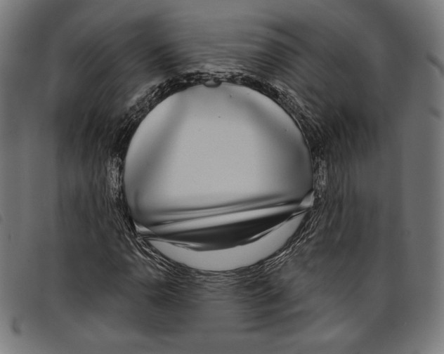 X0000097751110200804041056