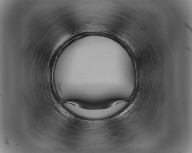 X0000097751114200804041057