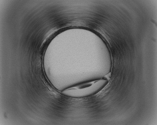 X0000097751115200804041057