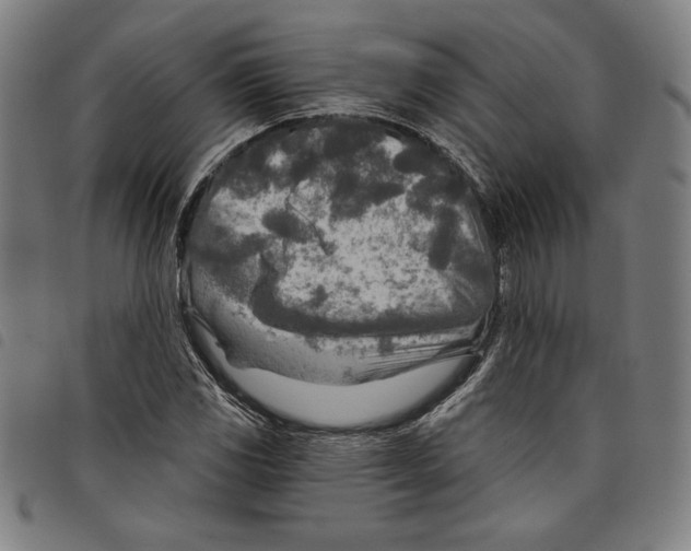 X0000097751117200804041057