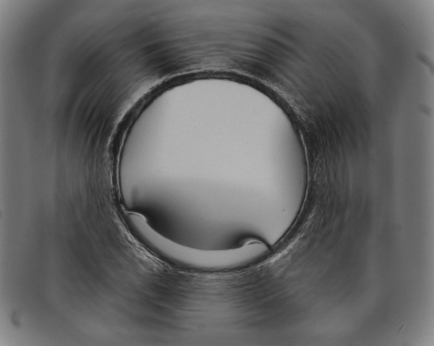 X0000097751118200804041057