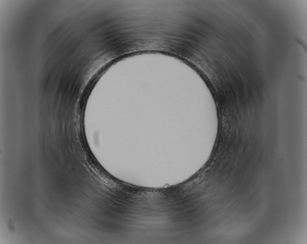 X0000097751119200804041057