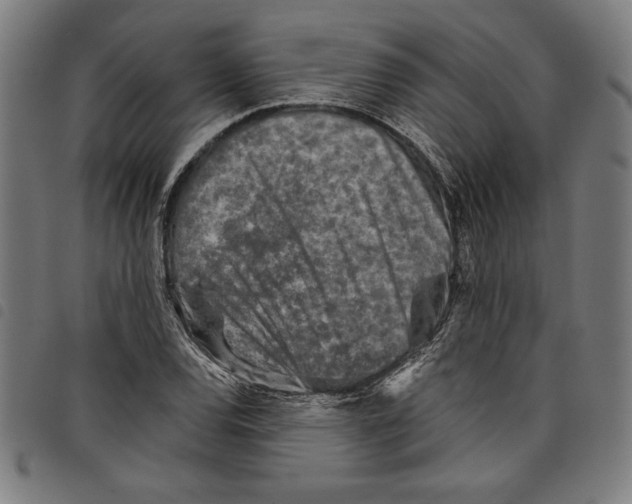 X0000097751120200804041057