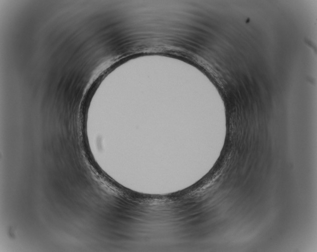 X0000097751122200804041057