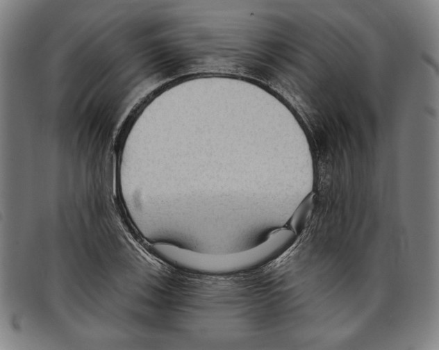 X0000097751123200804041057