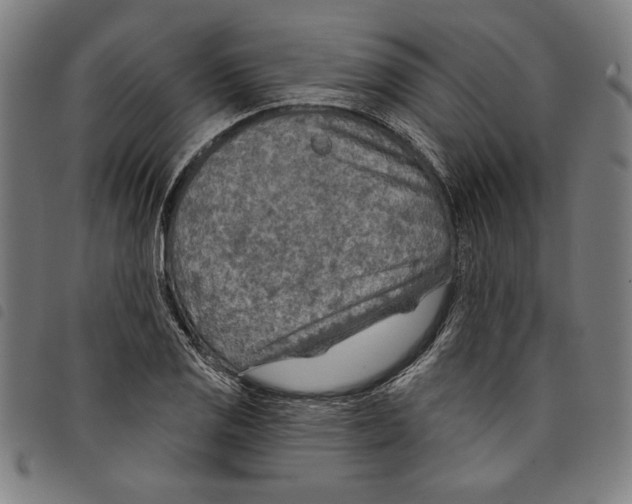 X0000097751125200804041057