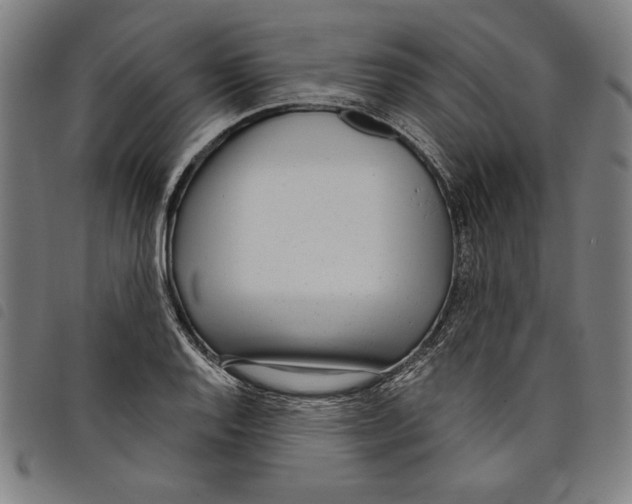 X0000097751128200804041057