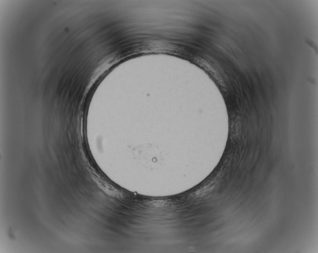 X0000097751130200804041057