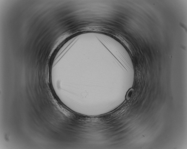 X0000097751131200804041057