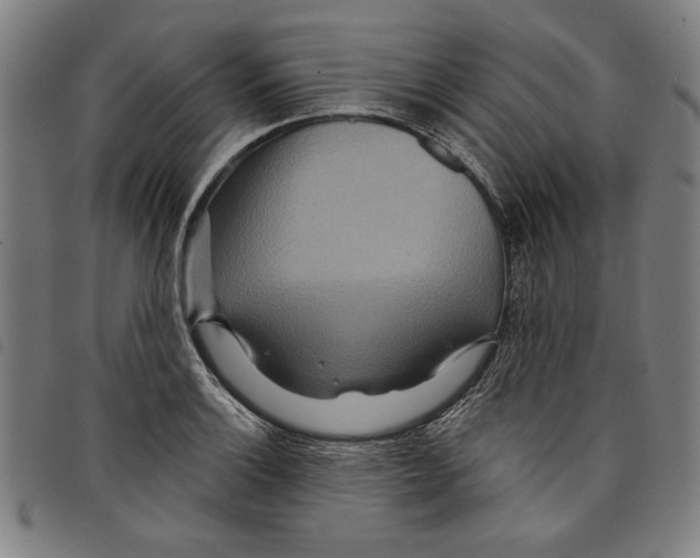 X0000097751132200804041057