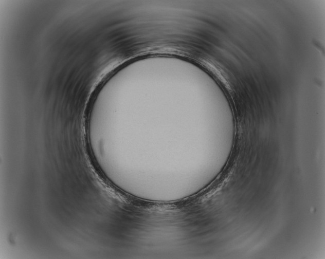 X0000097751133200804041057