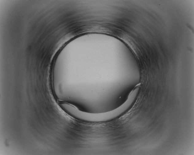 X0000097751139200804041057