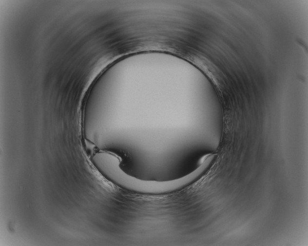 X0000097751140200804041057