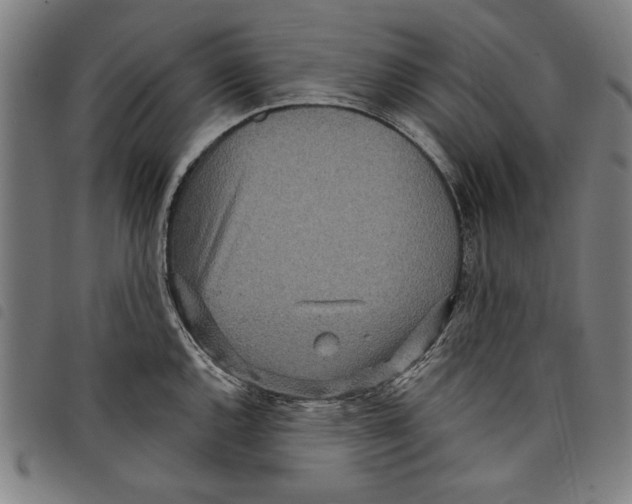 X0000097751144200804041057