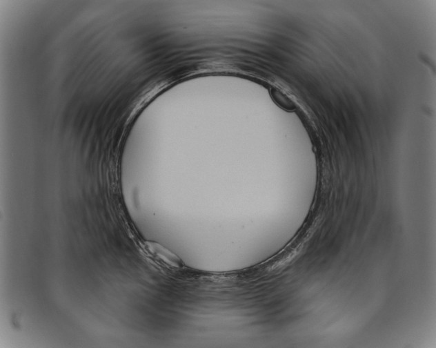 X0000097751145200804041057