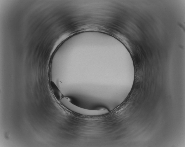 X0000097751146200804041057