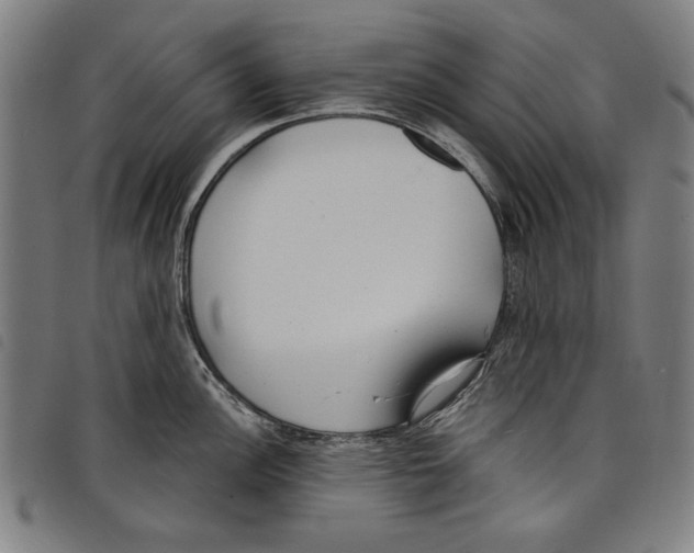 X0000097751148200804041057