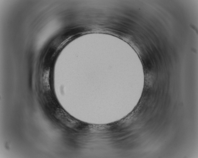 X0000097751150200804041057