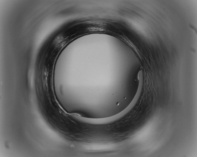 X0000097751151200804041057