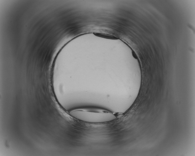 X0000097751152200804041057