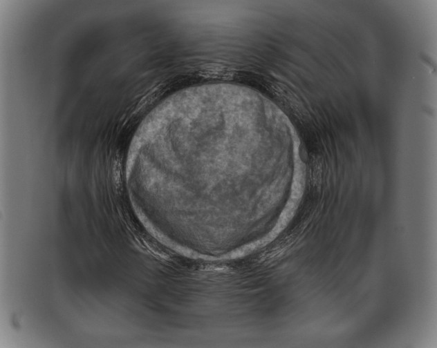 X0000097751154200804041056