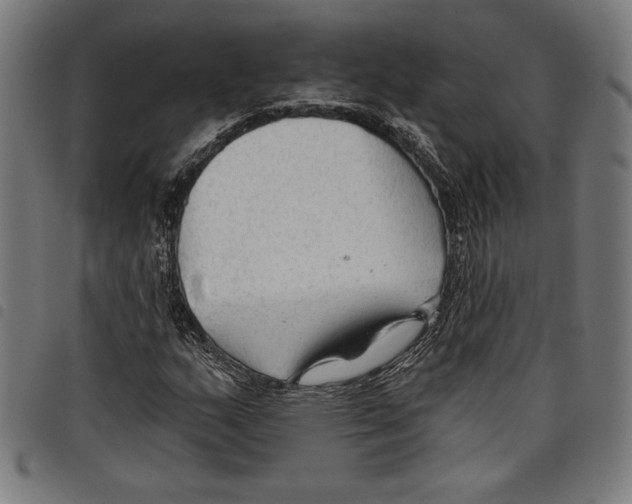 X0000097751159200804041056