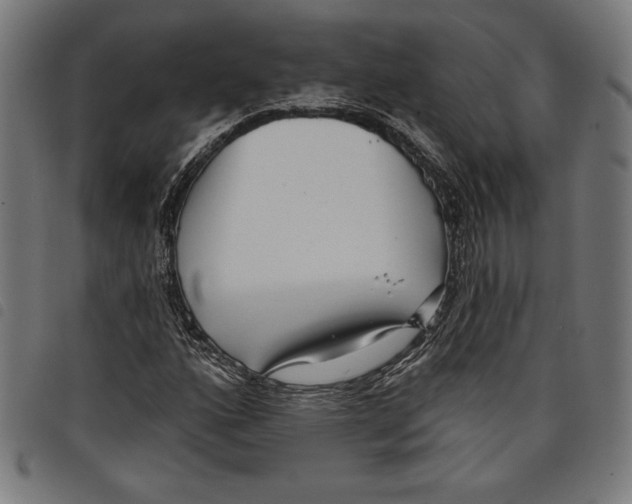 X0000097751160200804041056