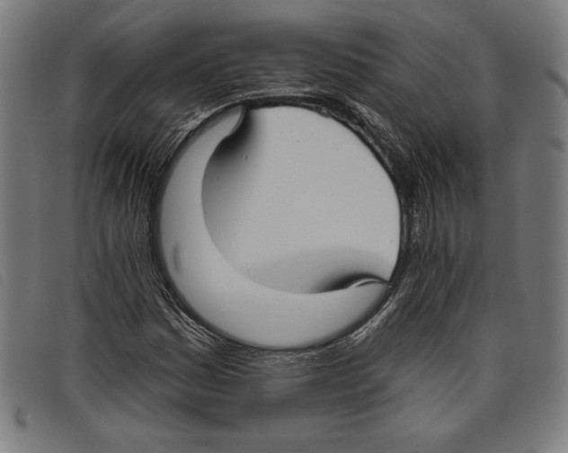 X0000097751161200804041056