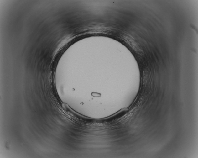 X0000097751164200804041056