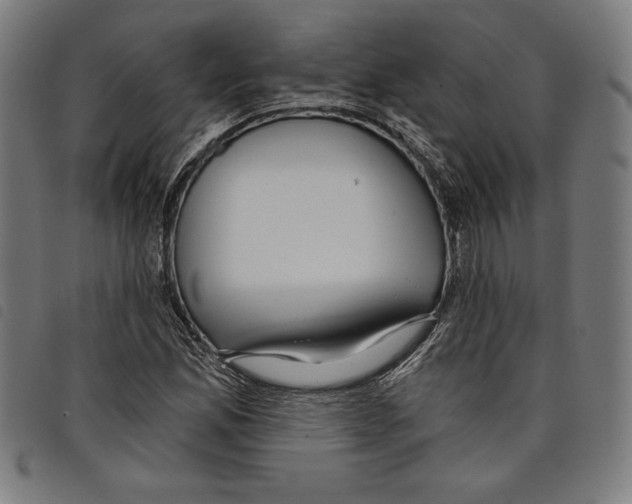 X0000097751165200804041056