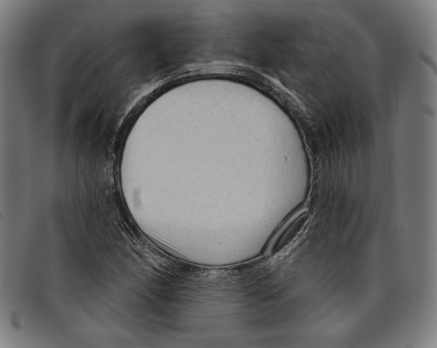 X0000097751166200804041056