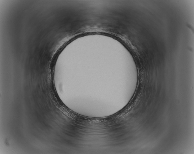 X0000097751167200804041056