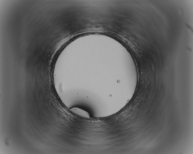 X0000097751168200804041056